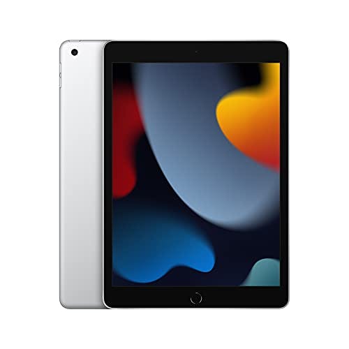2021 Apple 10.2-inch iPad (Wi-Fi, 256GB) - Silver | Amazon