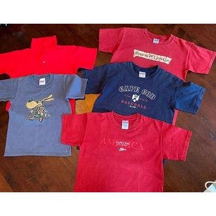 Boys Tshirt And Polo Shirt Lit Of 5 Youth Size Small Size 4 To 6  | eBay