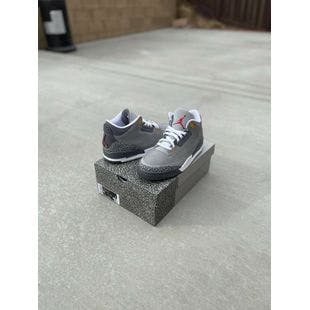 Air Jordan 3 Cool Grey | Ebay