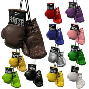 Forza Sports Mini Boxing Gloves  | eBay