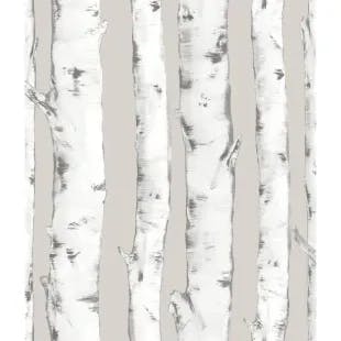  Downy Birch Neutral Peel and Stick Wallpaper | The Home Depot