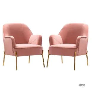  Nora Pink Gold Legs Accent Chair Set of 2 | The Home Depot