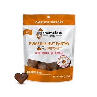 SHAMELESS PETS Soft Baked Pumpkin Nut Partay Flavor Grain-Free Dog Treats, 6-oz bag - Chewy