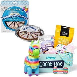 Goody Box Birthday Toys, Treats & Bandana for XS/Small Dogs + The Lazy Dog Cookie Co. Happy Birthday Pup-PIE Treat, Boy - Chewy