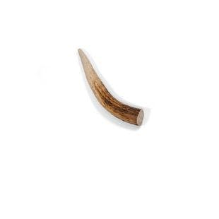 LITTLE LOYALS Grade AA Premium Whole Deer X-Small Antler Chew Dog Treat - Chewy