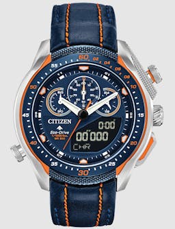 Citizen Watch: Promaster SST for $299